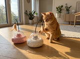 Cat playing with two UfoKitty toys, pink and white, in a sunny living room
