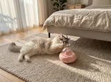 White fluffy cat playing with the pink UfoKitty toy on a bedroom rug