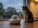 Tabby cat playing with the white UfoKitty toy by a rainy window